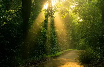 Northern Vietnam's Hidden Gems Exploration 