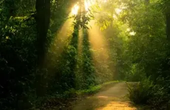 Northern Vietnam's Hidden Gems Exploration 