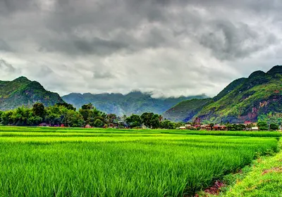 Northern Vietnam's Hidden Gems Exploration 