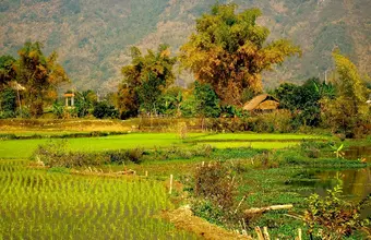 Northern Vietnam's Hidden Gems Exploration 