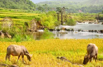 Northern Vietnam's Hidden Gems Exploration 