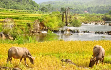 Northern Vietnam's Hidden Gems Exploration 
